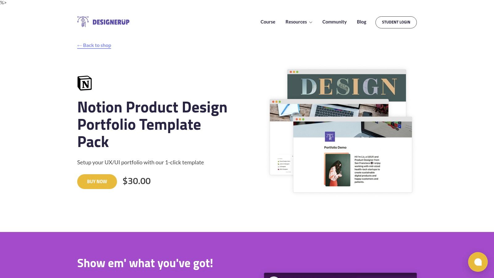 Notion Product Design Portfolio Template Pack (DesignerUp)