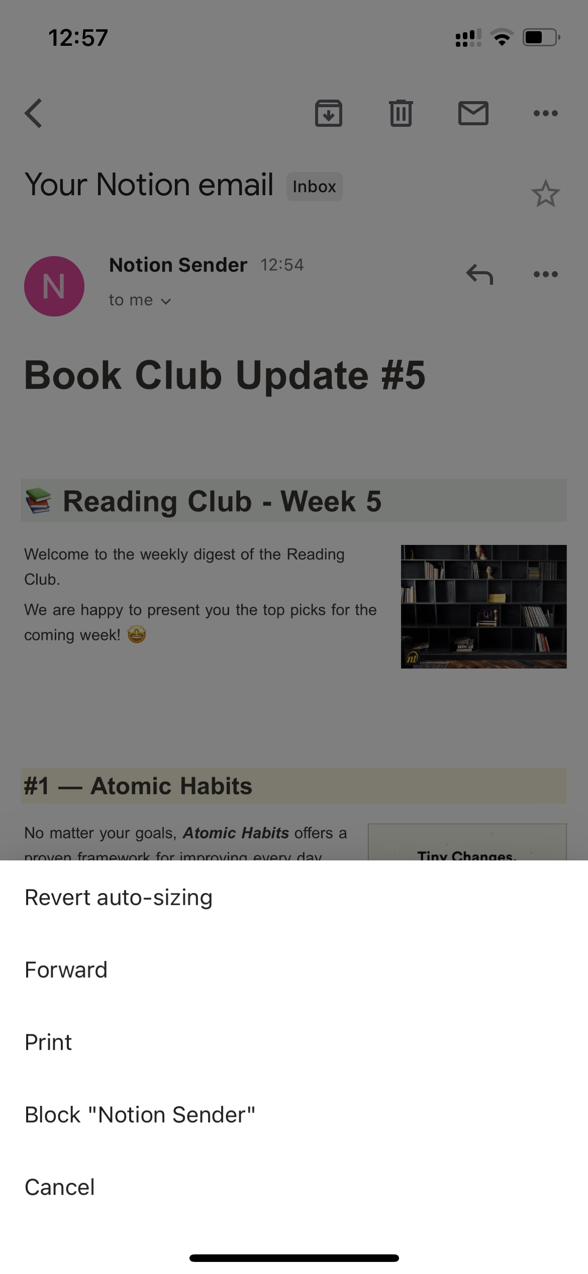 Notion email preview before editing the forwarded message.